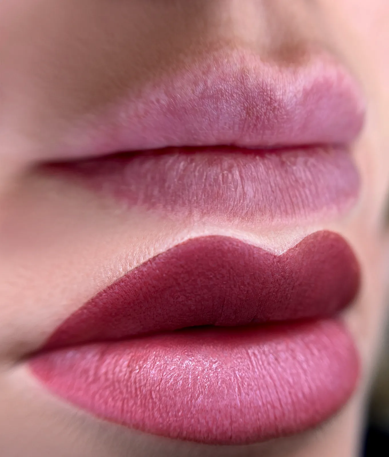 Basic Lips — 2-Day Intensive Training — Students results 2