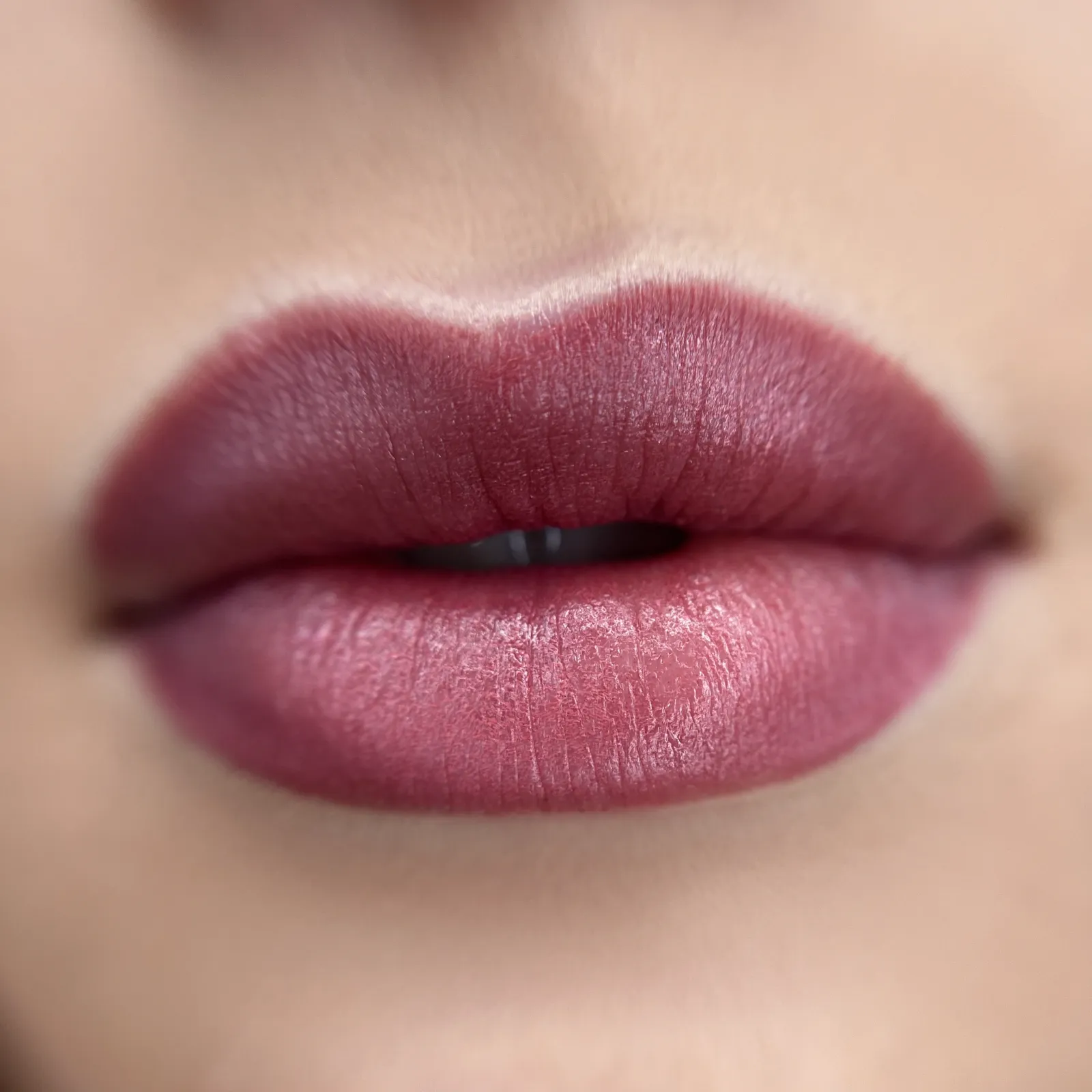 Basic Lips — 2-Day Intensive Training — Students results 5