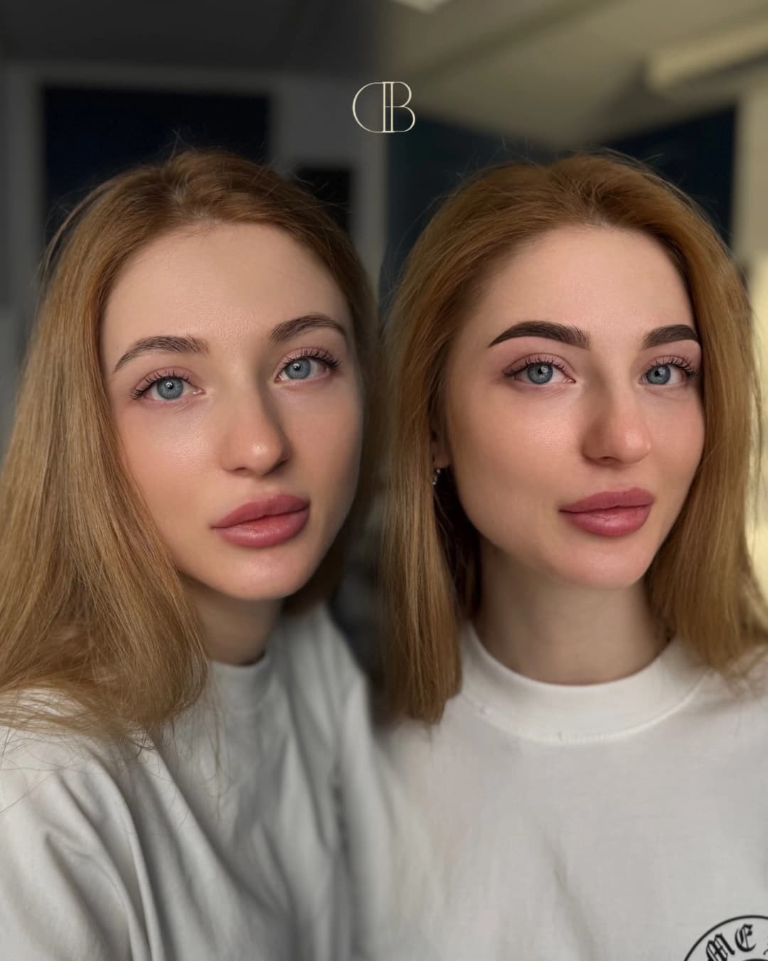 Mineral Ombre Powder Brows & Powder Ombre Brows 2